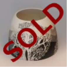 BUSHVELD LANDSCAPES 5 BUSHVELD LANDSCAPES 5