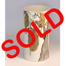 FINCHES BUILDING NESTS FINCHES BUILDING NESTS