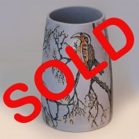 HORNBILL IN THE BUSHVELD