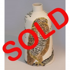 THE OWL IN THE BUSHVELD THE OWL IN THE BUSHVELD