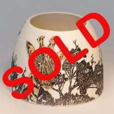 THE GIRAFFE IN THE BUSHVELD THE GIRAFFE IN THE BUSHVELD